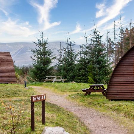 Badaguish Forest Lodges And Camping Pods Aviemore Dış mekan fotoğraf