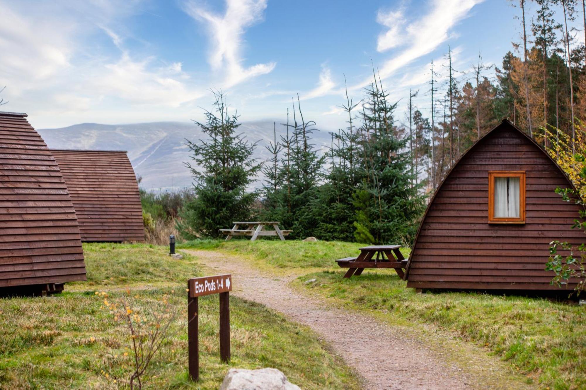 Badaguish Forest Lodges And Camping Pods Aviemore Dış mekan fotoğraf